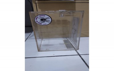 KANDANG AKRILIK TARANTULA REMAJA SAMPAI DEWASA 16 X 15 X 30 SECOND